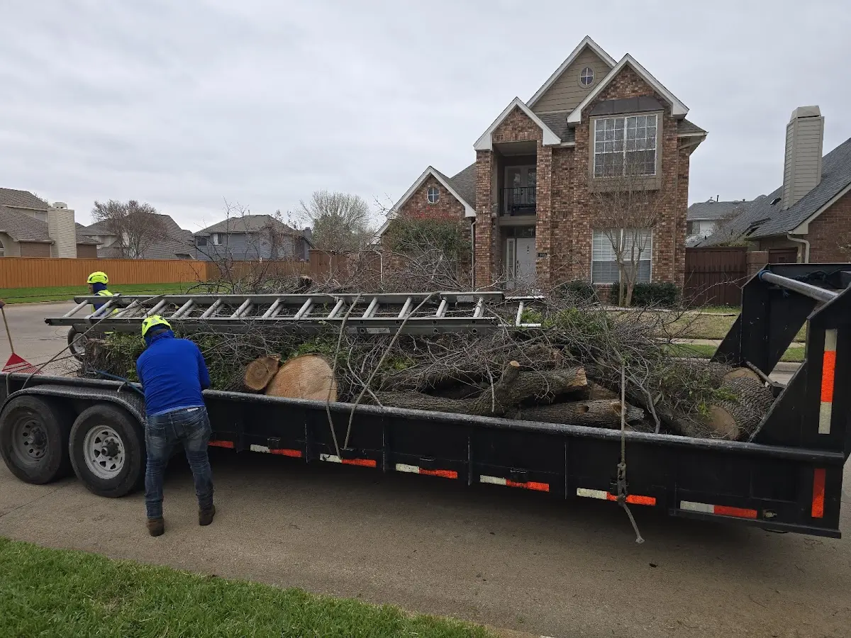 Expert Tree Fertilization with proper safety equipment in Archbold